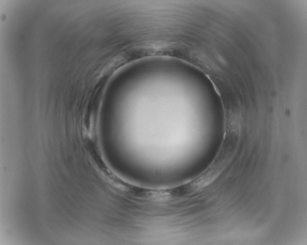 X0000073700719200608031214