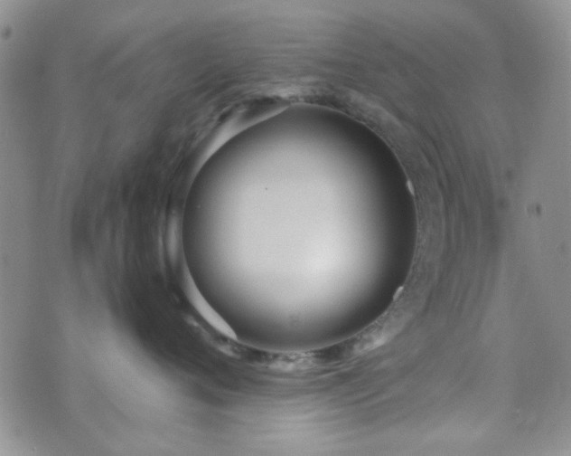 X0000073700720200608031214