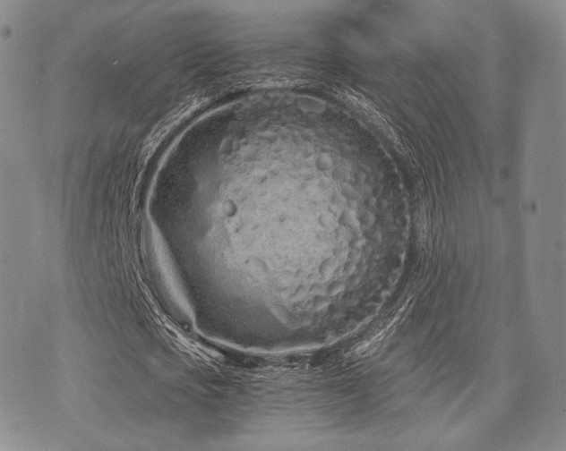 X0000073700721200608031214