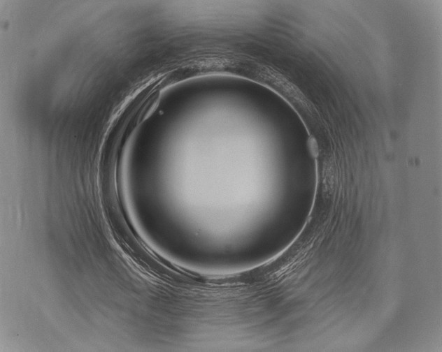 X0000073700722200608031214