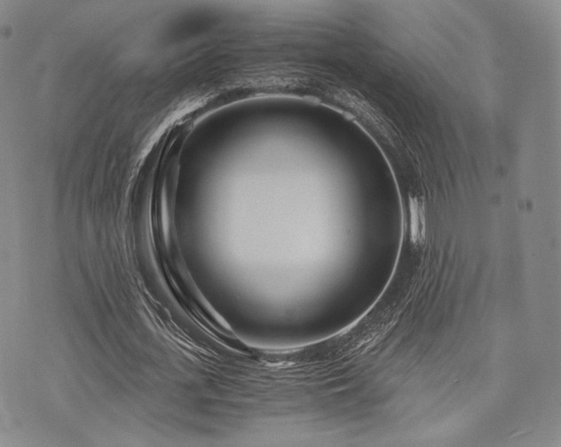 X0000073700723200608031214