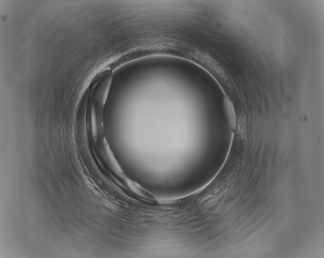 X0000073700724200608031214