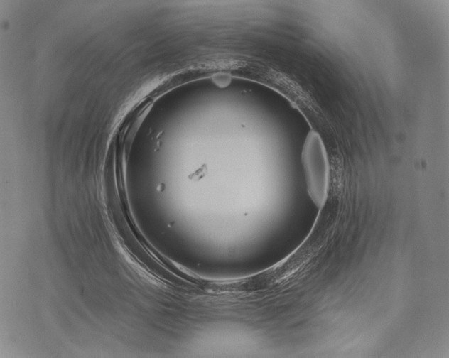 X0000073700726200608031214