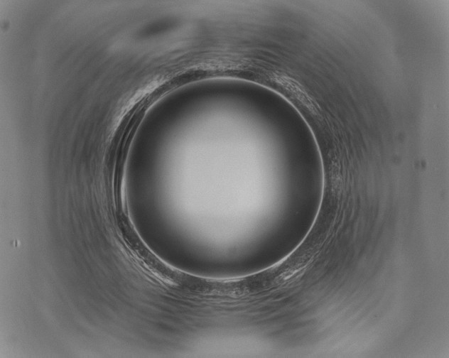 X0000073700727200608031214