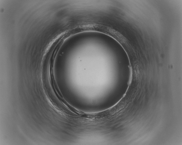 X0000073700728200608031214