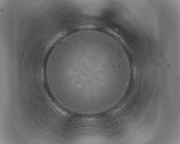 X0000073700729200608031214