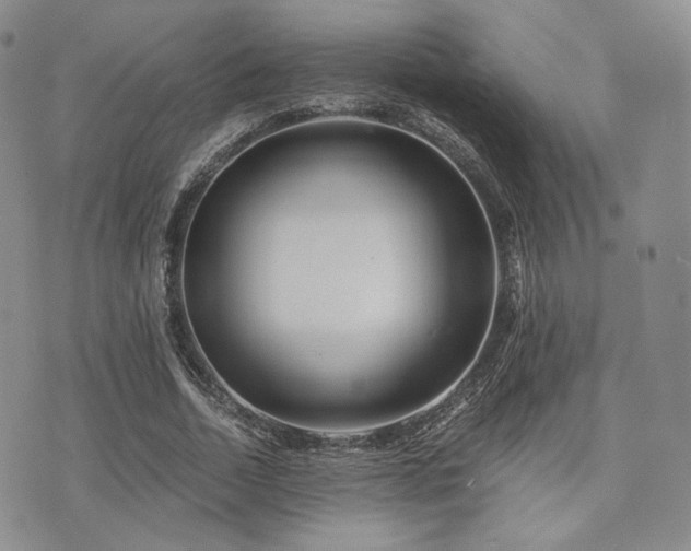 X0000073700730200608031214