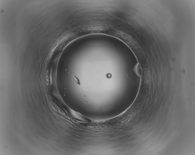 X0000073700731200608031214