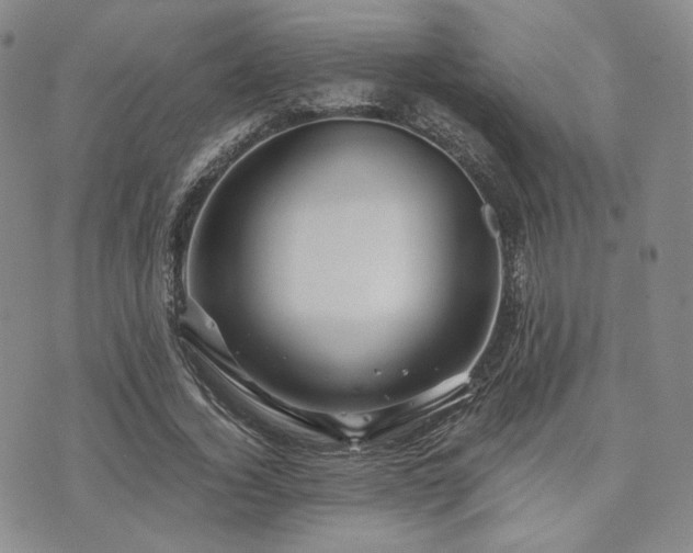 X0000073700732200608031214