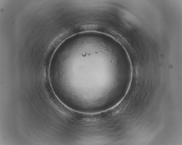 X0000073700733200608031214