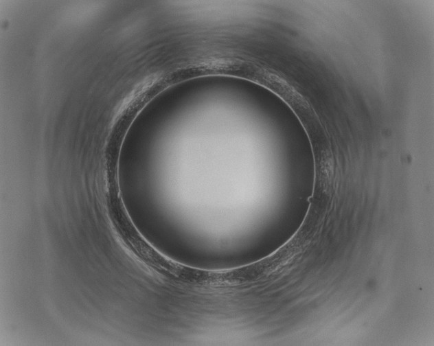 X0000073700734200608031214