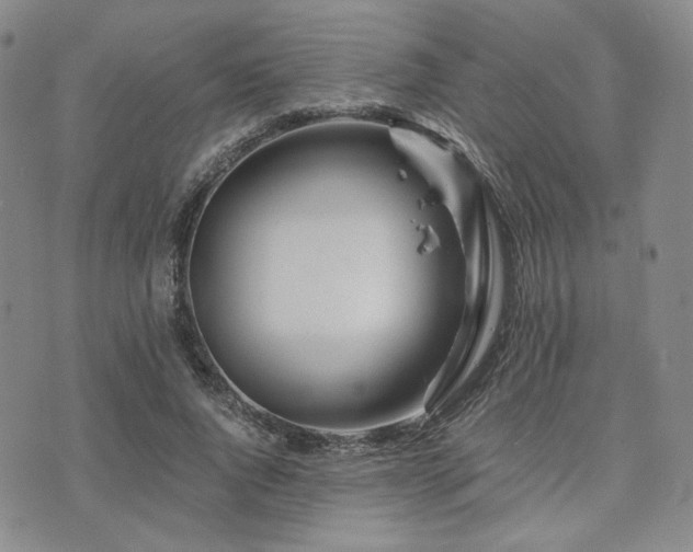 X0000073700736200608031214