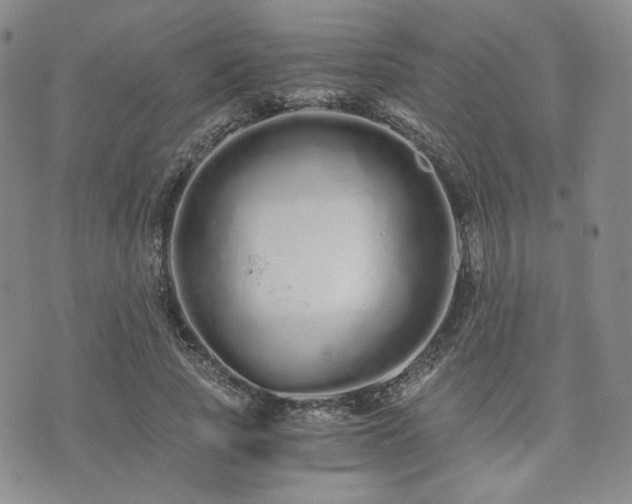 X0000073700737200608031214