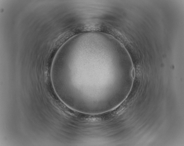 X0000073700741200608031214