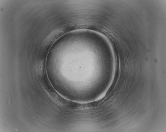 X0000073700742200608031214