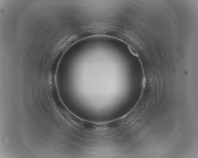 X0000073700744200608031214