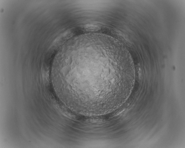 X0000073700745200608031214