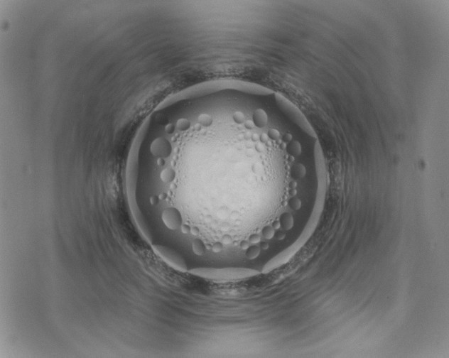 X0000073700746200608031214