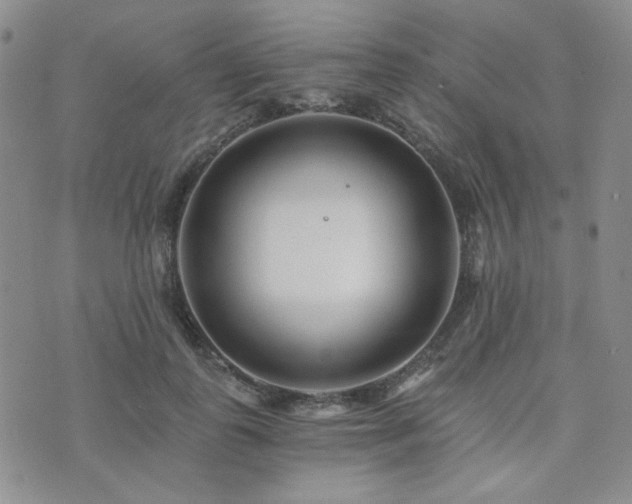 X0000073700747200608031214