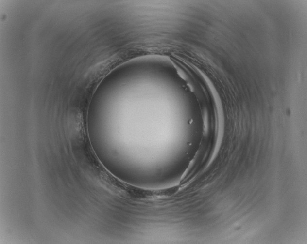 X0000073700748200608031214