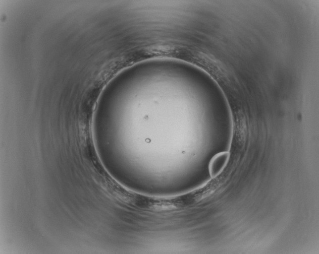 X0000073700749200608031214