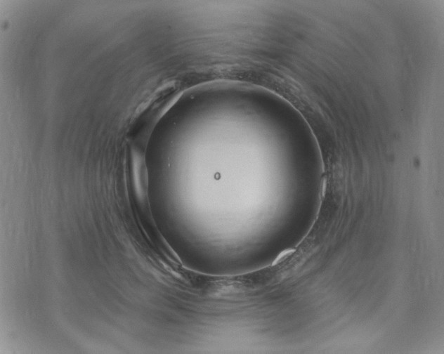 X0000073700750200608031214