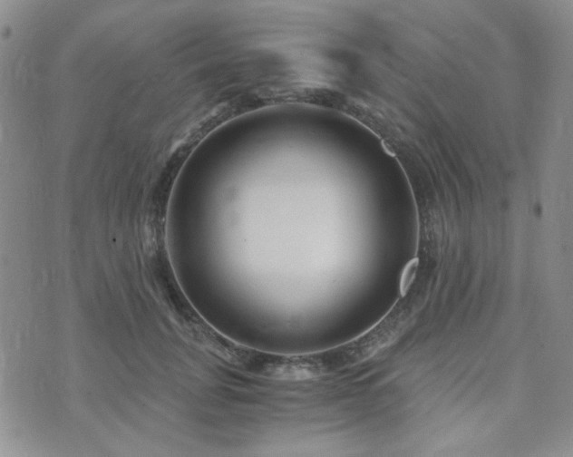 X0000073700751200608031214