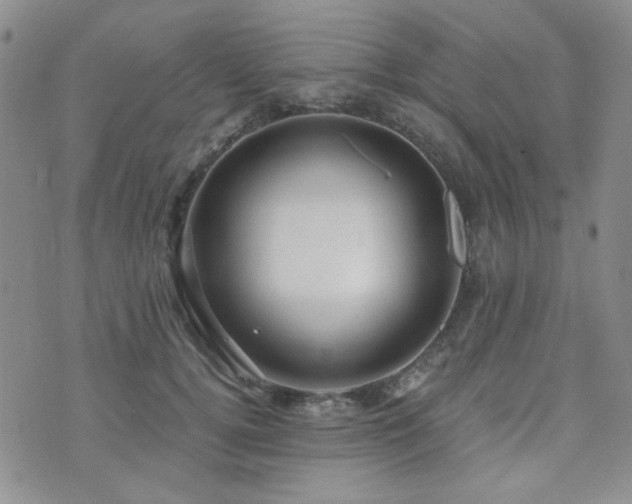 X0000073700752200608031214