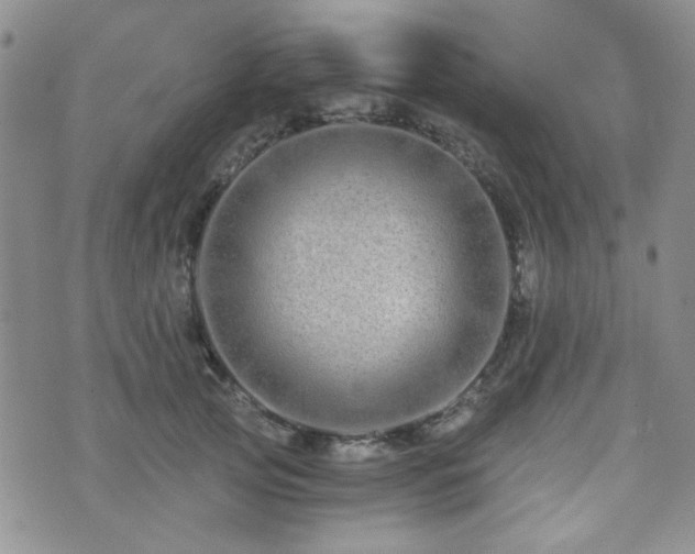 X0000073700753200608031214