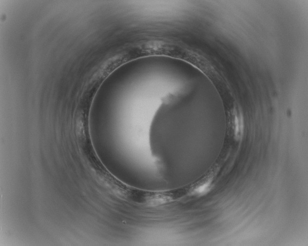 X0000073700754200608031214