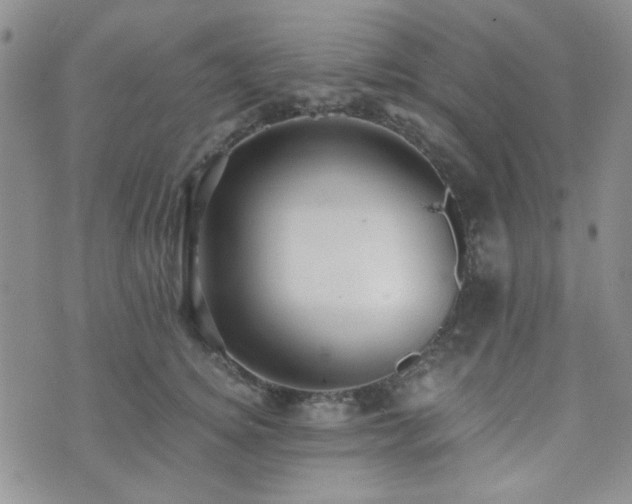 X0000073700756200608031214