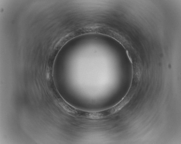 X0000073700758200608031214