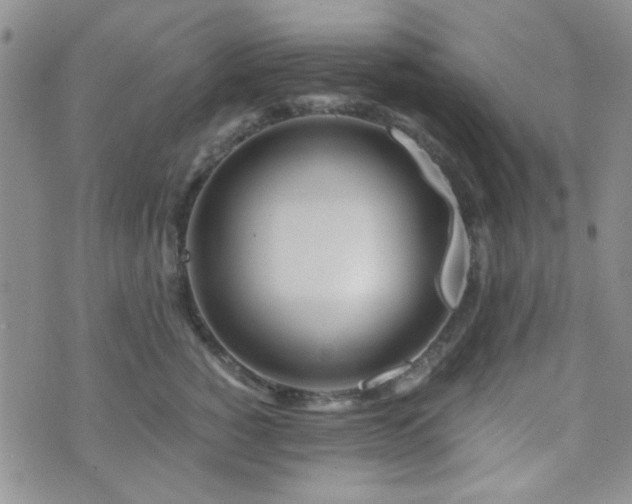 X0000073700760200608031214