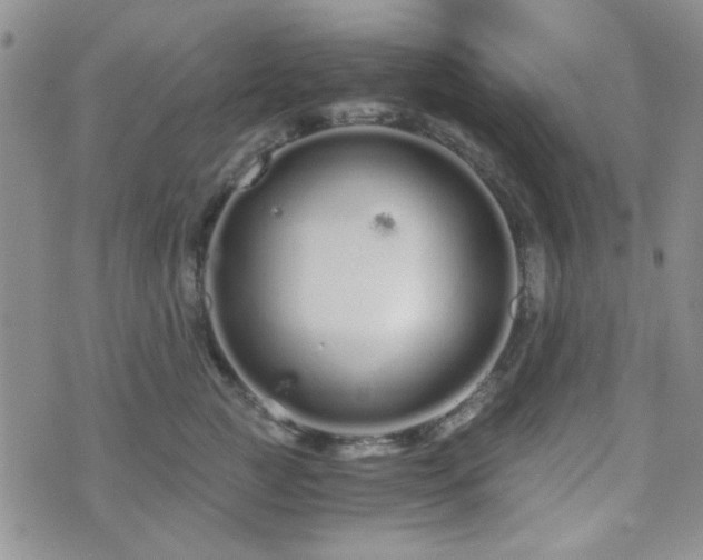 X0000073700761200608031214