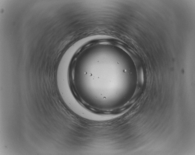 X0000073700762200608031214