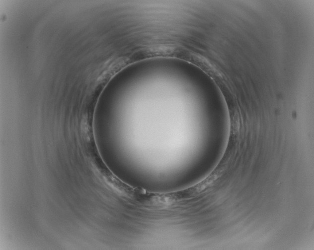 X0000073700764200608031214