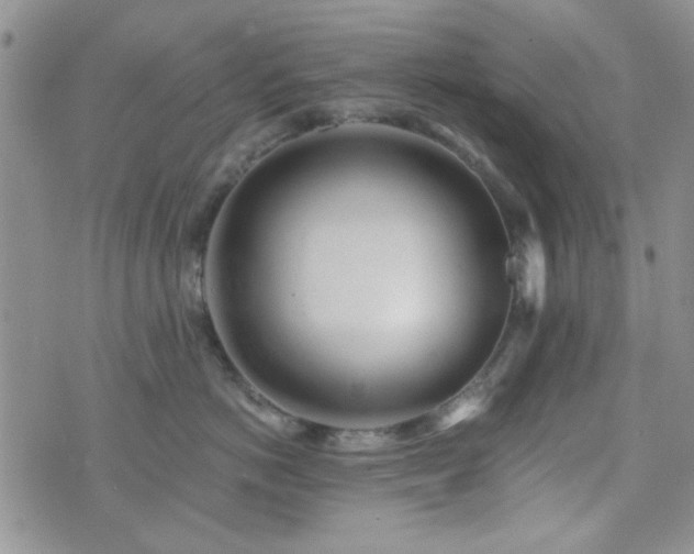 X0000073700766200608031214