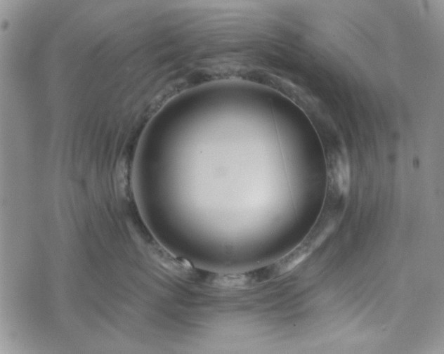 X0000073700767200608031214