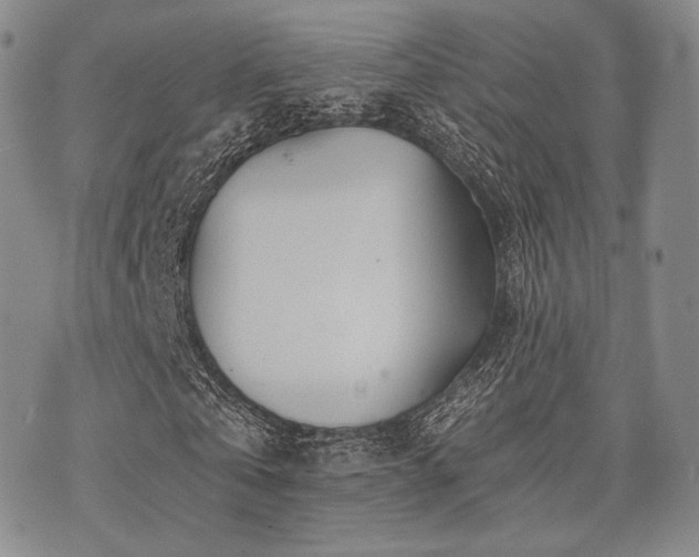 X0000073700769200608031214