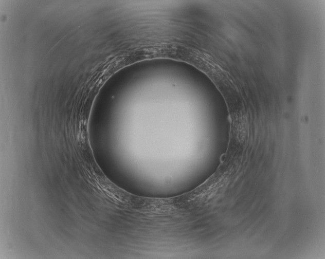 X0000073700770200608031214