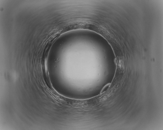 X0000073700771200608031214