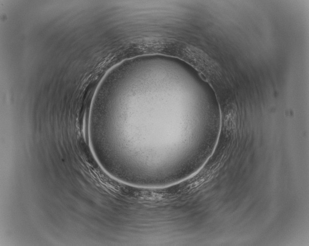 X0000073700772200608031213