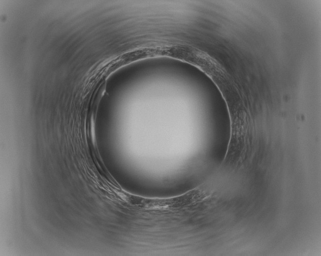 X0000073700773200608031213