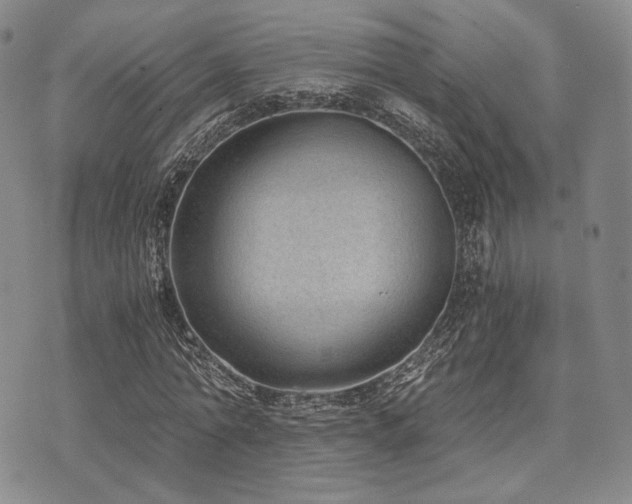 X0000073700774200608031213