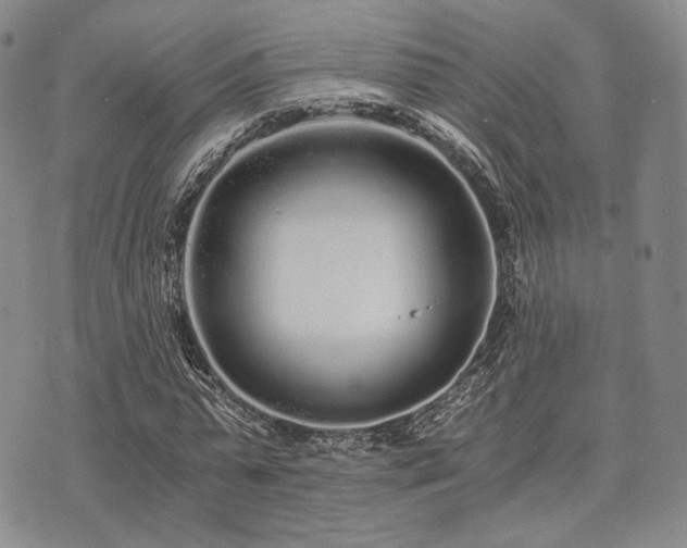 X0000073700775200608031213