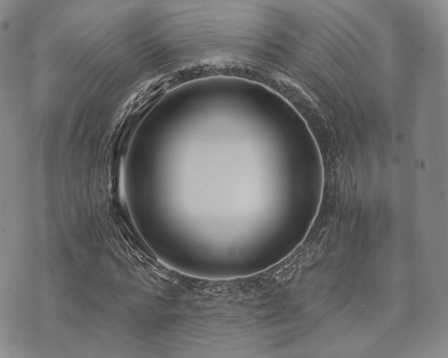 X0000073700776200608031213