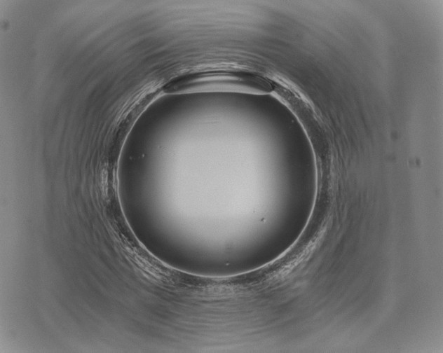 X0000073700777200608031213