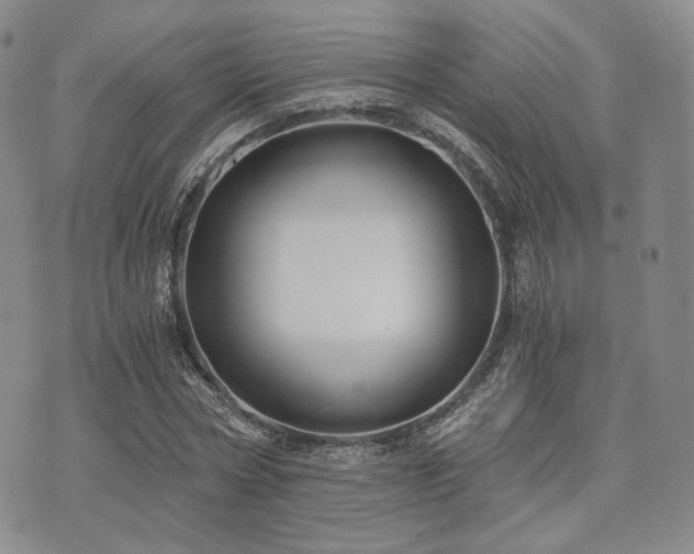 X0000073700778200608031213