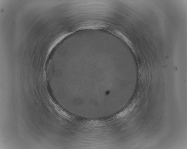 X0000073700779200608031213