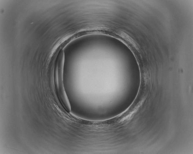 X0000073700781200608031213